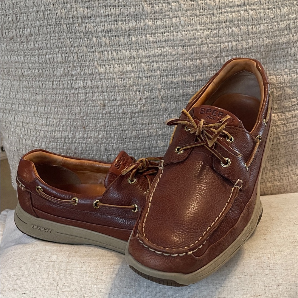 Sperry Men's Dark Brown Leather Boat Shoes